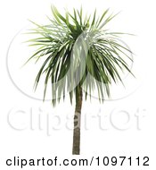 Poster, Art Print Of 3d Tropical Palm Tree 2