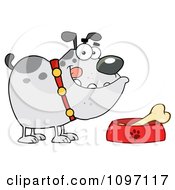 Clipart Gray Bulldog With A Bone In His Dish Bowl Royalty Free Vector Illustration