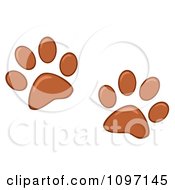 Poster, Art Print Of Two Brown Dog Paw Prints