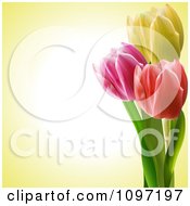 Clipart Colorful Tulips Bordering A Pastel Yellow Background With Copyspace Royalty Free Vector Illustration