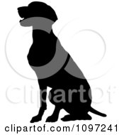 Poster, Art Print Of Black Silhouette Of A Sitting German Pointer Dog