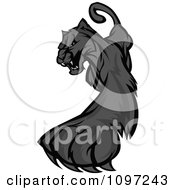 Poster, Art Print Of Black Panther Mascot Striking With A Paw