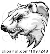 Poster, Art Print Of Aggressive Polar Bear Mascot Head Growling