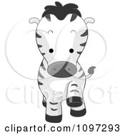 Clipart Cute Zebra Walking Forward Royalty Free Vector Illustration