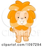 Poster, Art Print Of Cute Lion Walking Forward