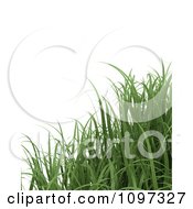 Poster, Art Print Of Background Of 3d Grass Blades