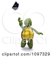 Poster, Art Print Of 3d Graduate Tortoise Tossing His Cap