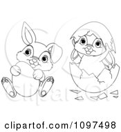 Poster, Art Print Of Cute Outlined Easter Bunnies Playing With An Egg And Shell