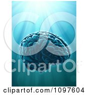 Poster, Art Print Of 3d Human Brain Over Light Rays
