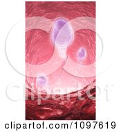 Clipart 3d Sperm Swimming Through Ductus Deferens Royalty Free CGI Illustration