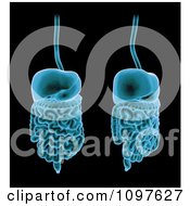 Clipart 3d Blue Digestive Systems Royalty Free CGI Illustration