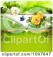 Poster, Art Print Of Spring Time Or Wedding Background With Yellow And White Roses And A Butterfly On Green