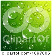 Background Of Reflective Water Droplets On Green
