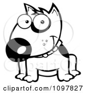 Clipart Happy Black And White Bull Terrier Sitting Royalty Free Vector Illustration by Hit Toon