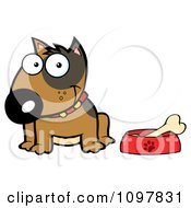 Happy Brown Bull Terrier Sitting By A Dish With A Bone