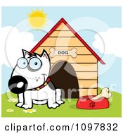 Poster, Art Print Of Happy White Bull Terrier Sitting By A Bone In A Bowl Outside His House