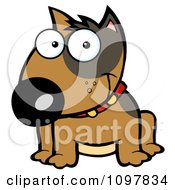 Poster, Art Print Of Happy Brown Bull Terrier Sitting