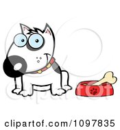 Happy White Bull Terrier Sitting By A Dish With A Bone