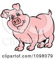 Clipart Chubby Pink Pig Cocking His Head Royalty Free Vector Illustration