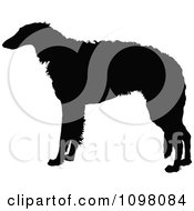 Poster, Art Print Of Silhouetted Borzoi Dog In Profile