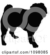 Silhouetted Pug Dog In Profile