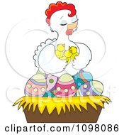 Loving White Hen Holding Her Chicks In A Nest Of Easter Eggs