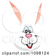 Poster, Art Print Of Happy White Easter Bunny Face