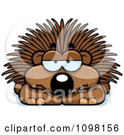Poster, Art Print Of Bored Porcupine