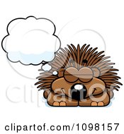 Dreaming Porcupine