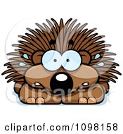 Poster, Art Print Of Scared Porcupine