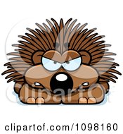 Poster, Art Print Of Angry Porcupine