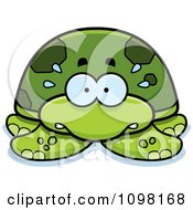 Scared Green Sea Turtle