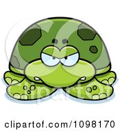 Angry Green Sea Turtle