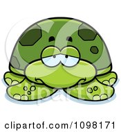 Poster, Art Print Of Depressed Green Sea Turtle
