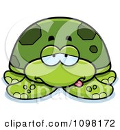 Sick Green Sea Turtle