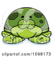 Sleeping Green Sea Turtle