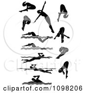 Poster, Art Print Of Black Silhouetted Female Swimmers