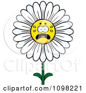 Poster, Art Print Of Scared White Daisy Flower Character