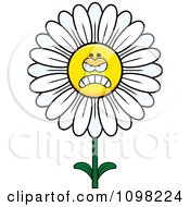 Poster, Art Print Of Angry White Daisy Flower Character
