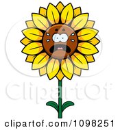 Clipart Scared Sunflower Character Royalty Free Vector Illustration