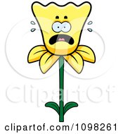 Clipart Scared Daffodil Flower Character Royalty Free Vector Illustration