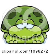 Depressed Green Tortoise Turtle