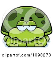 Bored Green Tortoise Turtle