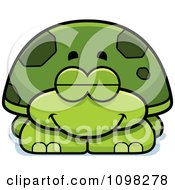 Poster, Art Print Of Sleeping Green Tortoise Turtle