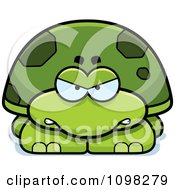 Poster, Art Print Of Angry Green Tortoise Turtle