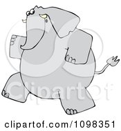 Poster, Art Print Of Gray Elephant Running Upright