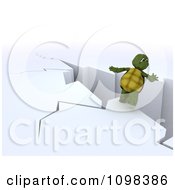 3d Tortoise About To Fall Backwards From A Cliff