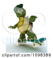 Poster, Art Print Of 3d Skateboarding Tortoise