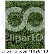 3d Background Of Green Grass
