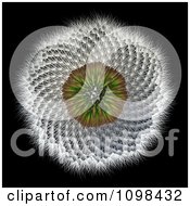 3d Dandelion Seed Head With A Fibonacci Sequence Pattern 3